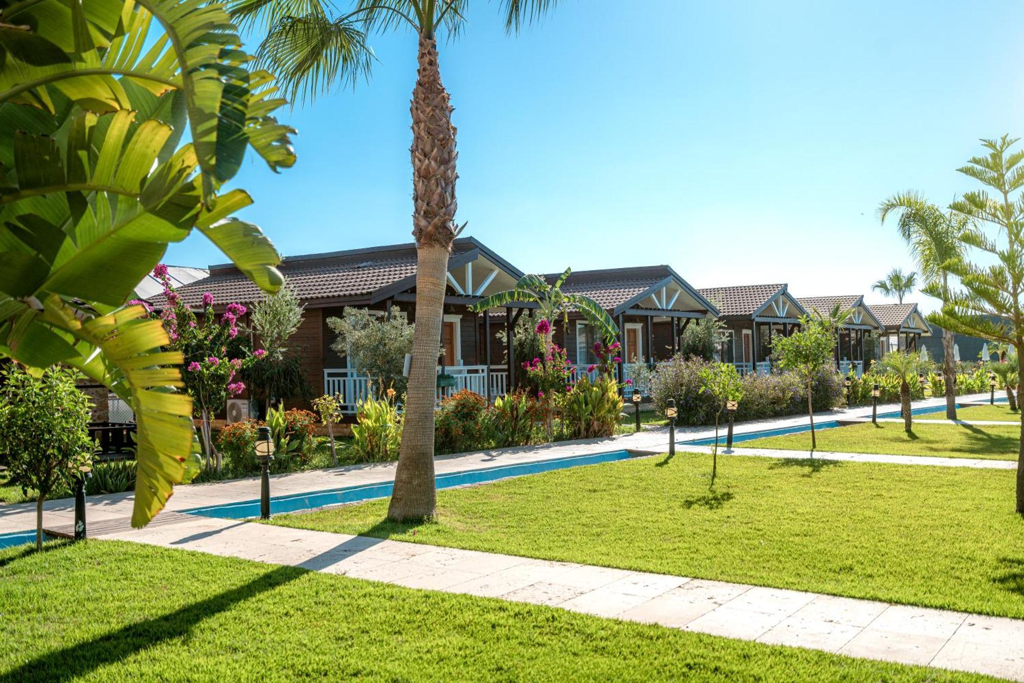 Sedir Park - Beach Bungalow Kargıcak Eksteriør bilde