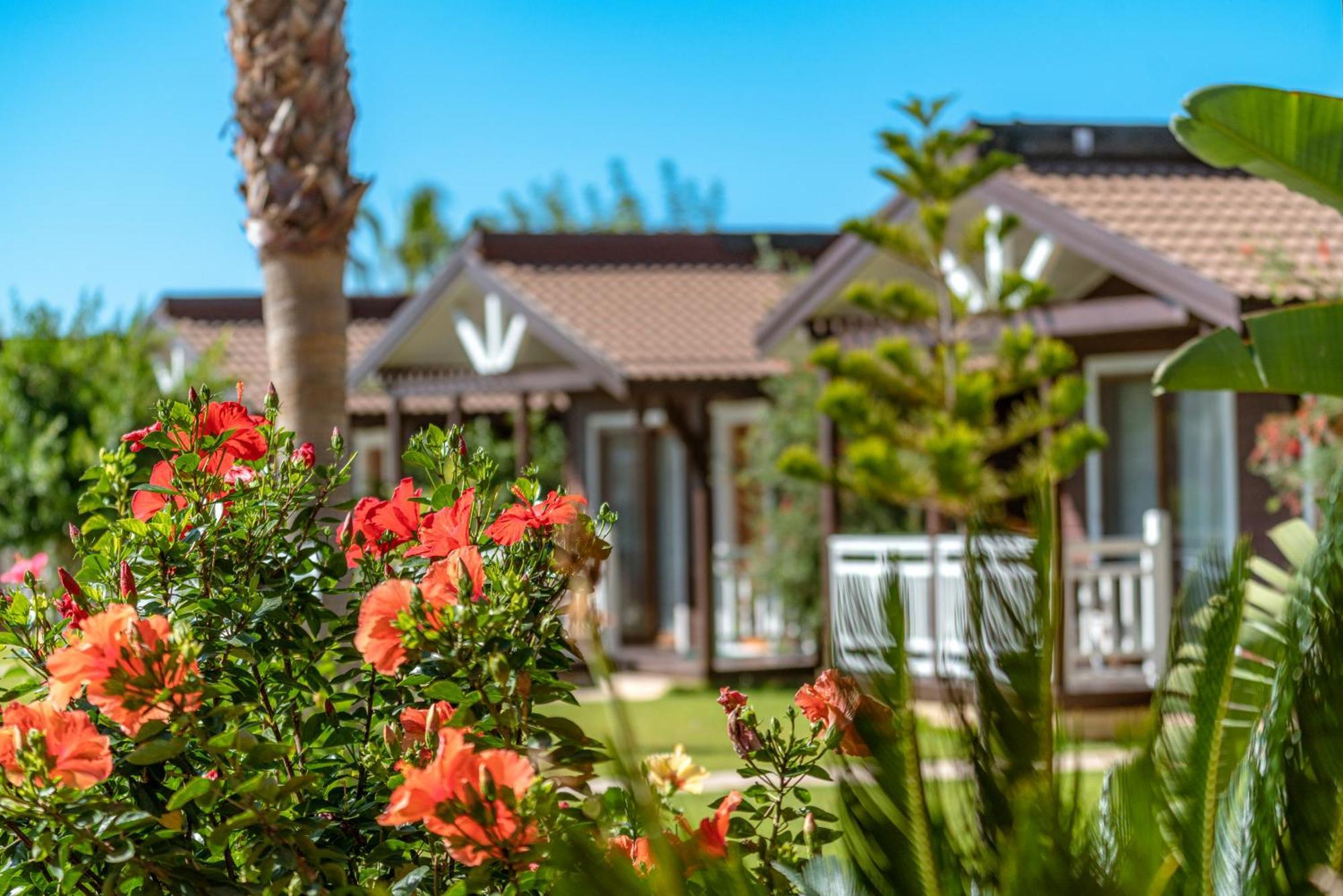 Sedir Park - Beach Bungalow Kargıcak Eksteriør bilde