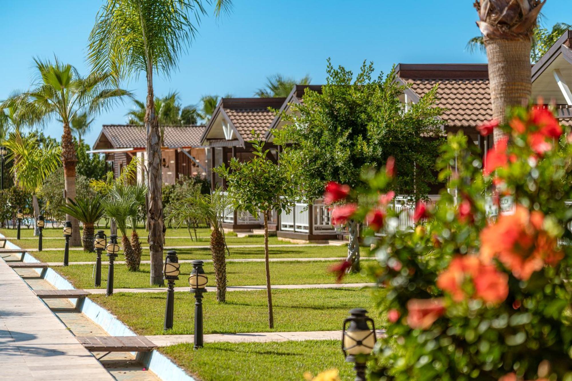 Sedir Park - Beach Bungalow Kargıcak Eksteriør bilde