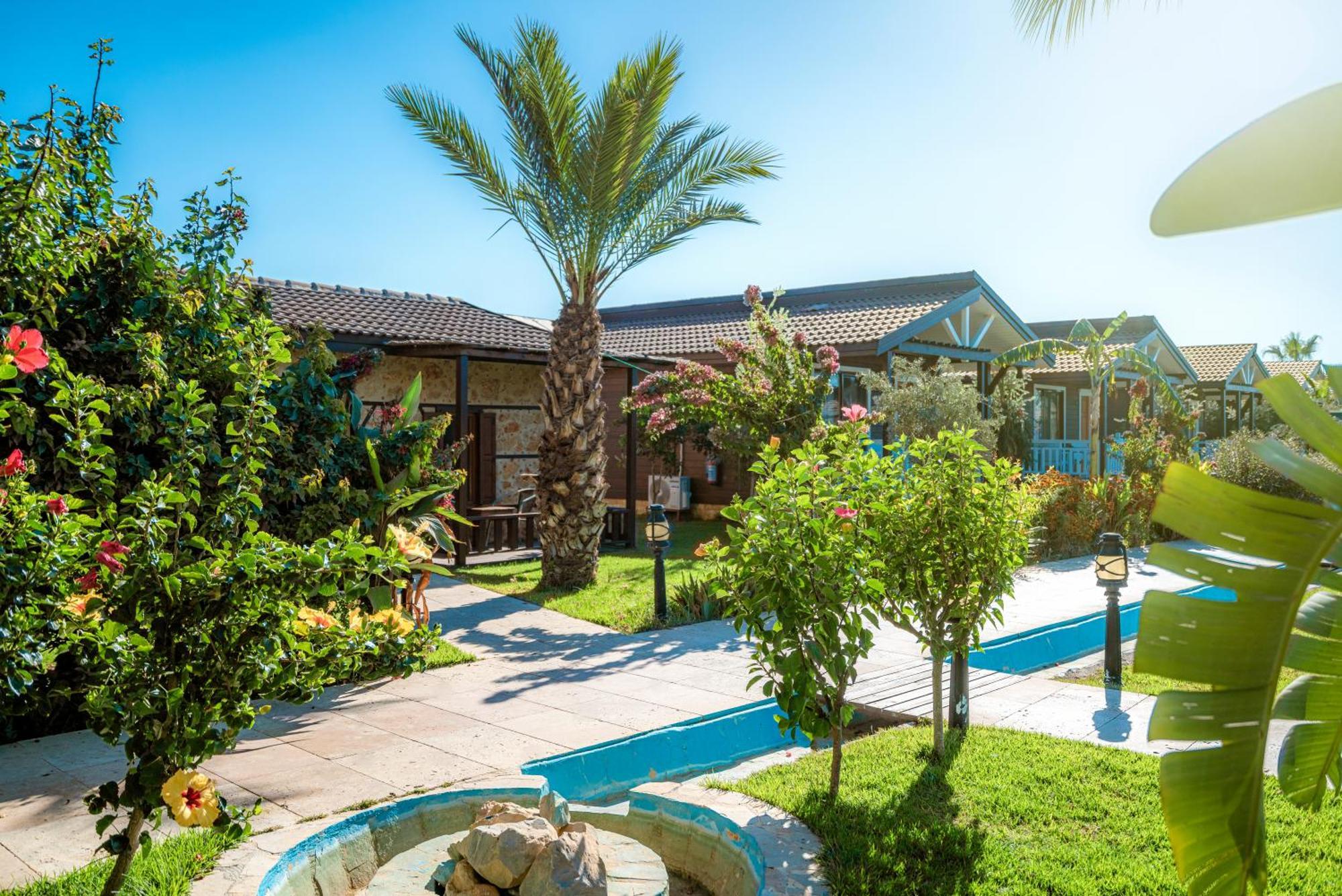 Sedir Park - Beach Bungalow Kargıcak Eksteriør bilde