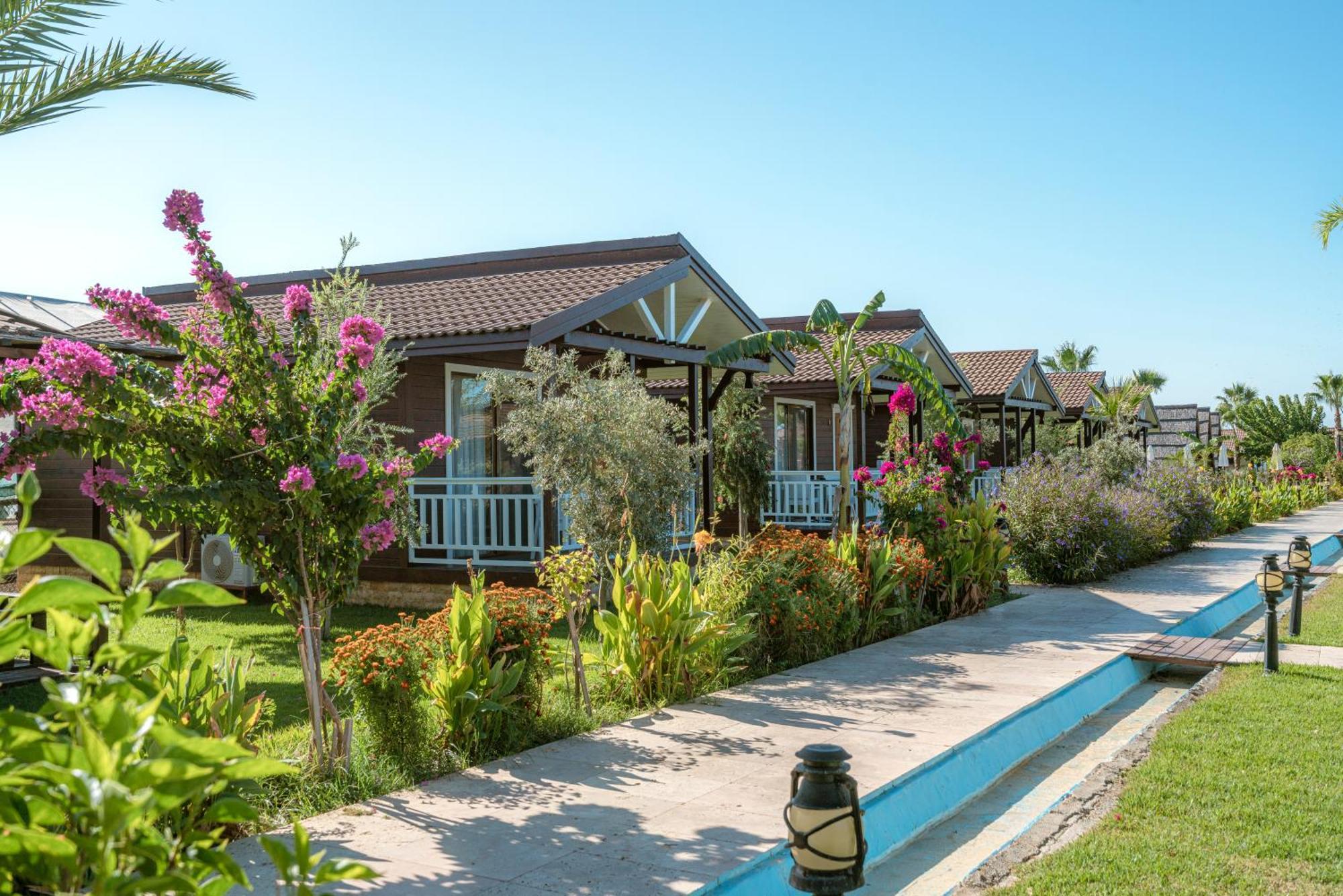 Sedir Park - Beach Bungalow Kargıcak Eksteriør bilde