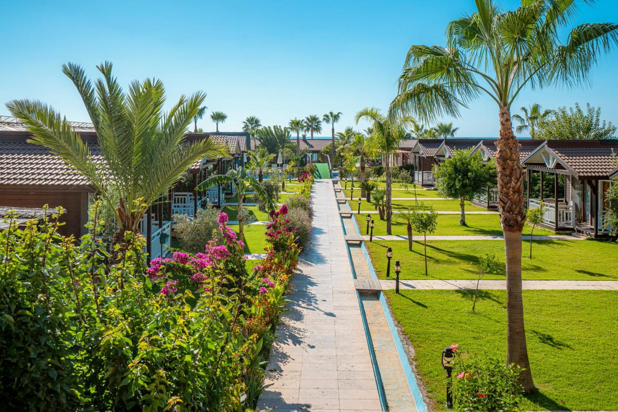 Sedir Park - Beach Bungalow Kargıcak Eksteriør bilde