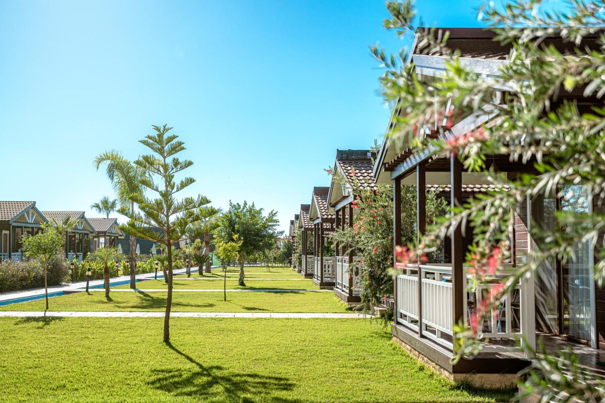 Sedir Park - Beach Bungalow Kargıcak Eksteriør bilde