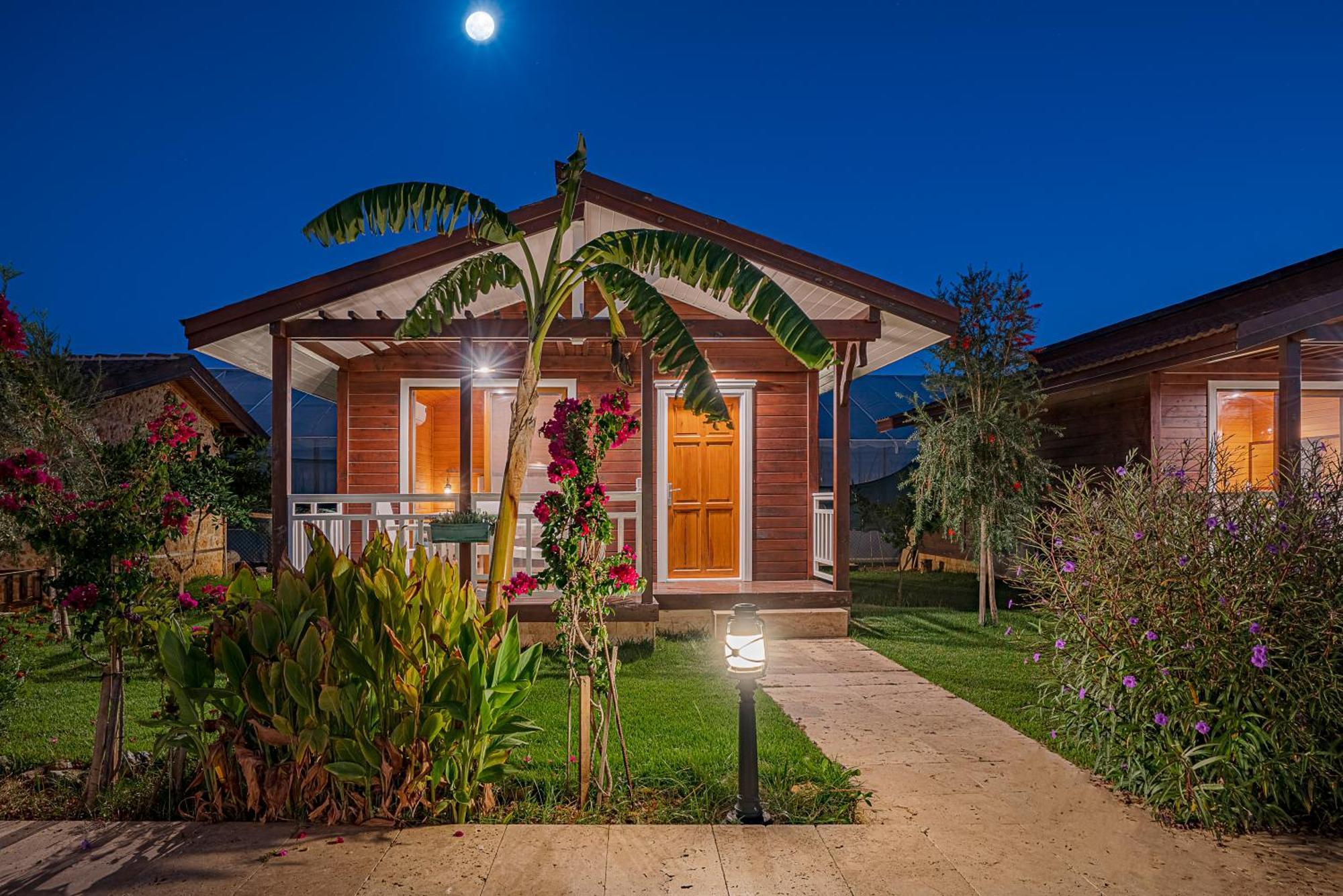 Sedir Park - Beach Bungalow Kargıcak Eksteriør bilde