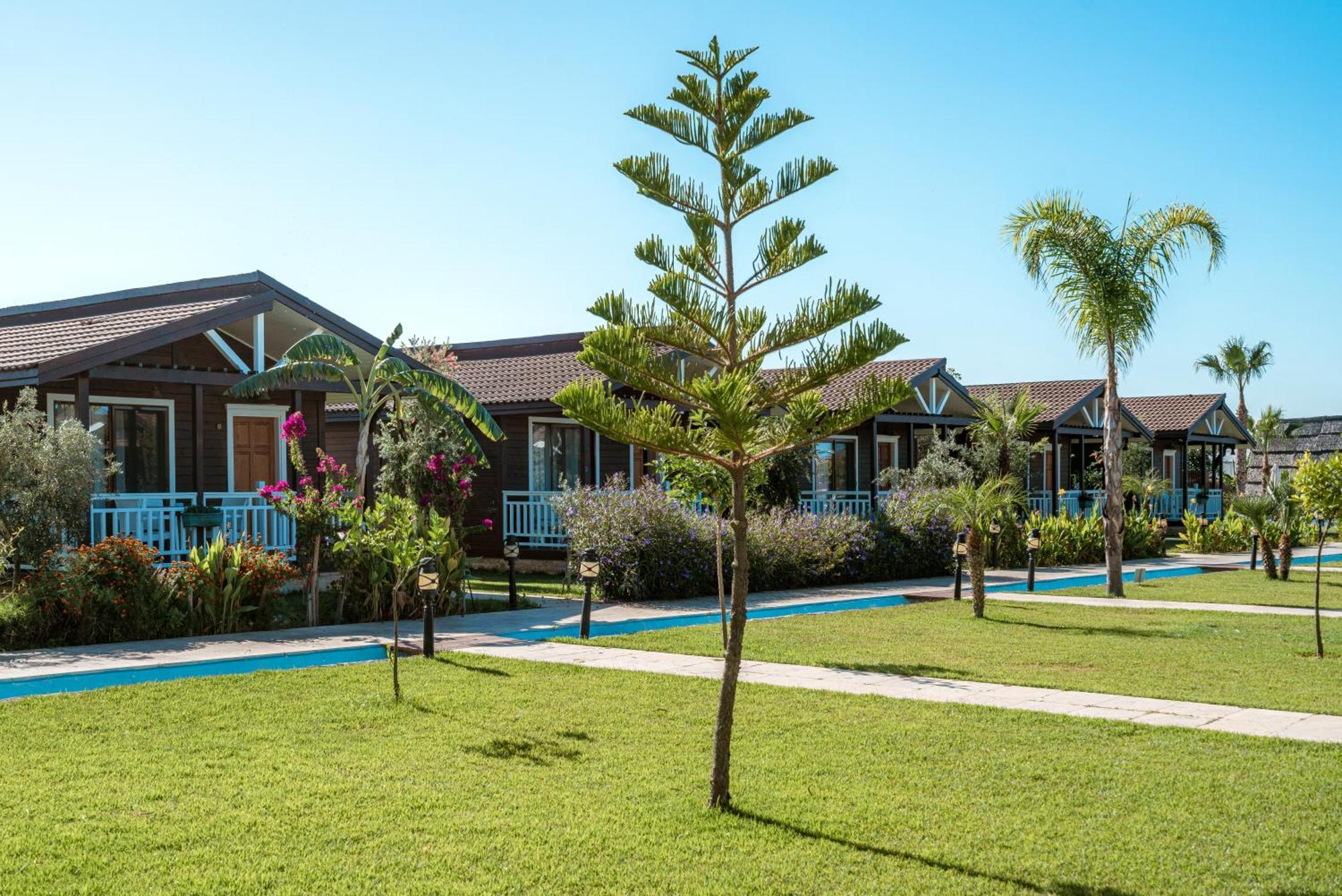Sedir Park - Beach Bungalow Kargıcak Eksteriør bilde