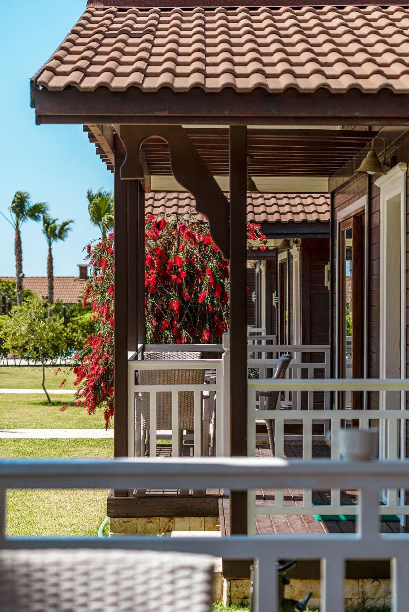 Sedir Park - Beach Bungalow Kargıcak Eksteriør bilde