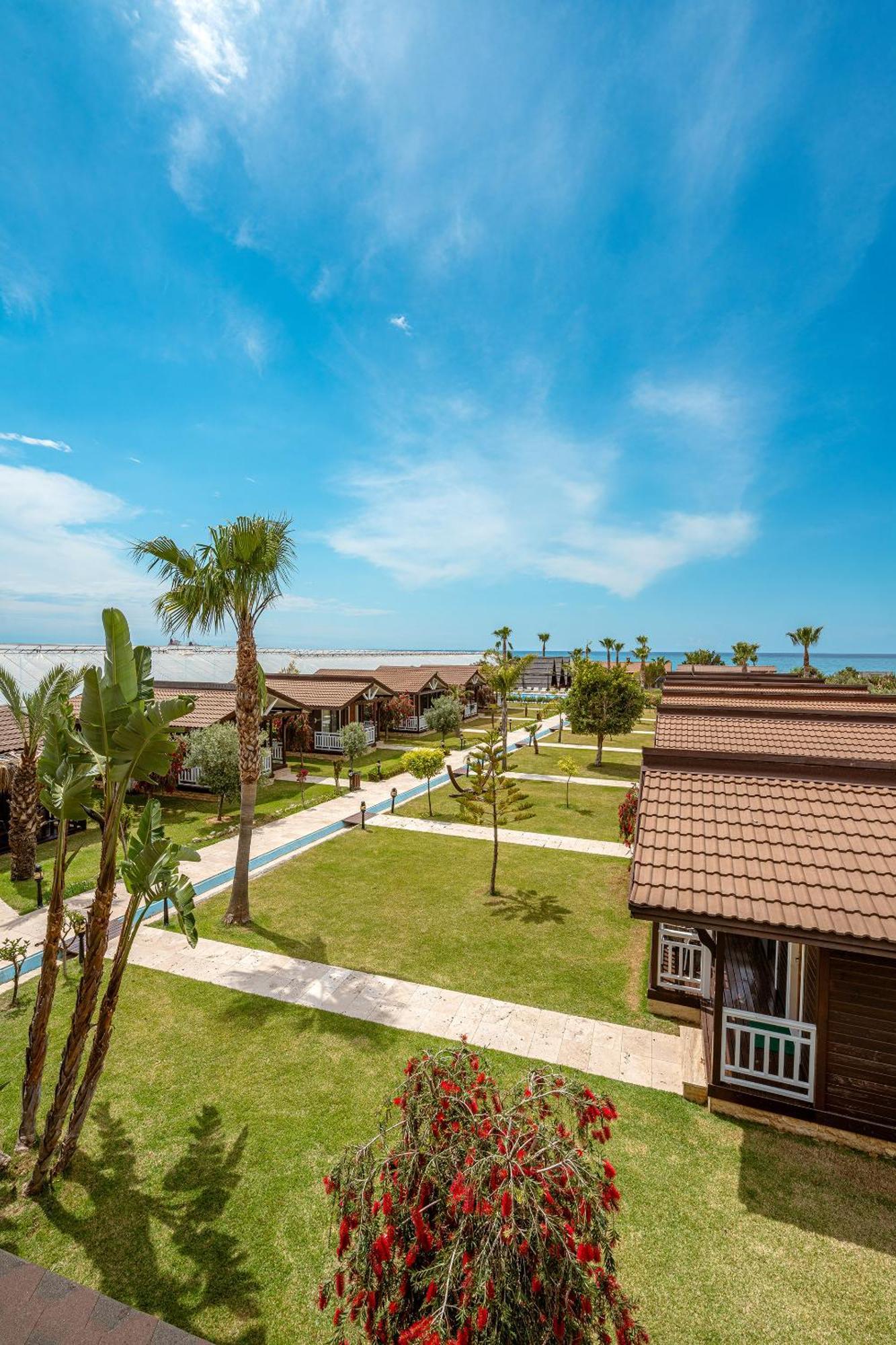 Sedir Park - Beach Bungalow Kargıcak Eksteriør bilde