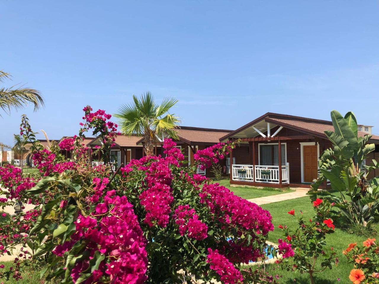 Sedir Park - Beach Bungalow Kargıcak Eksteriør bilde